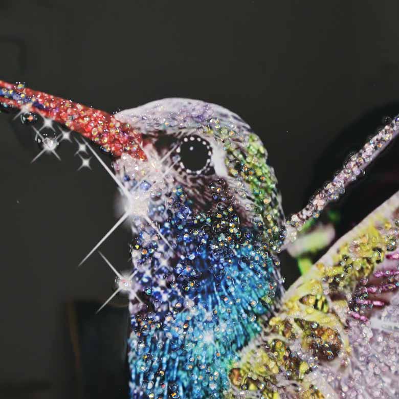 アートフレーム ハチドリ 80㎝ クリスタルピクチャー ウォールデコ ハミングバード