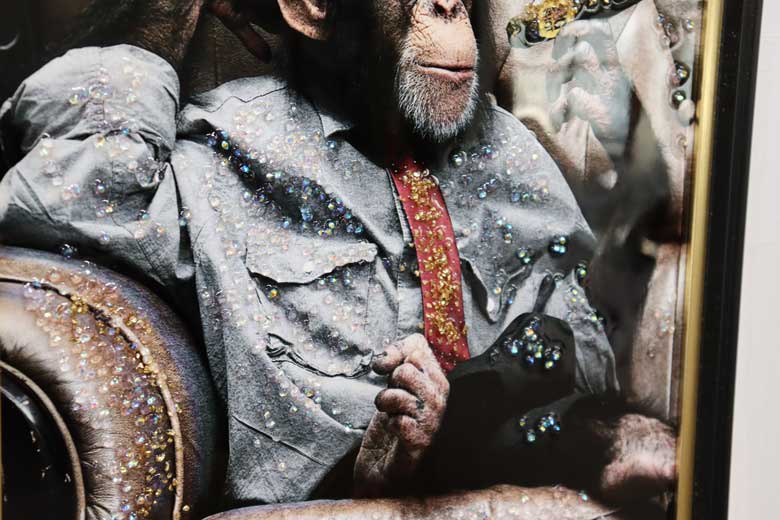 アートフレーム サルカポネ 41㎝ クリスタルピクチャー ウォールデコ エイプ モンキー