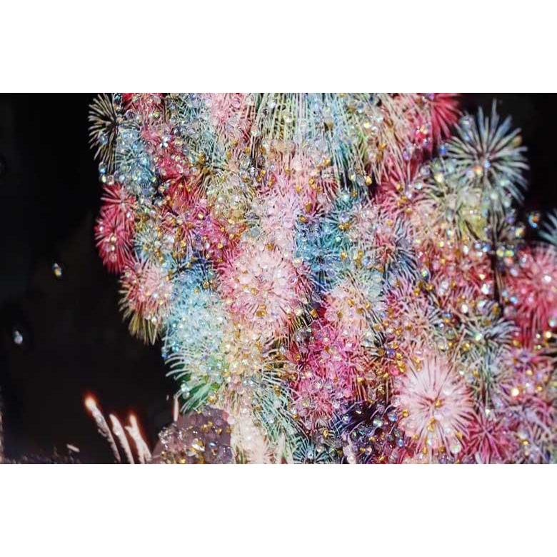 アートフレーム HANABI 花火 53cm クリスタルピクチャー ウォールデコ