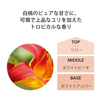 ルームフレグランス アシュレイ＆バーウッド フレグランスオイル 500ml ホワイトピーチ＆リリー