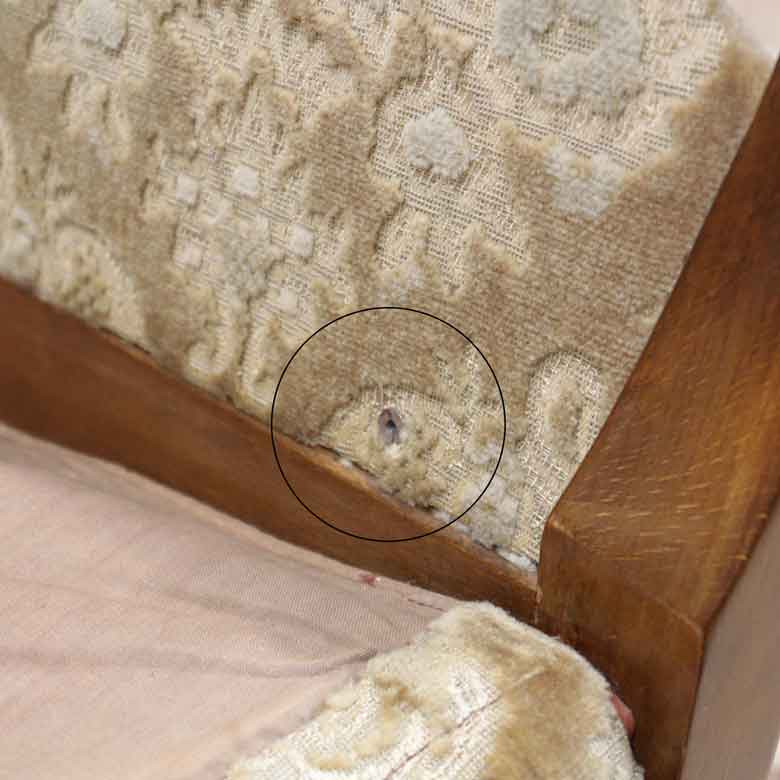 ウイングチェア CINTIQUE 1人掛けソファ ヴィンテージ イギリス ミッドセンチュリー