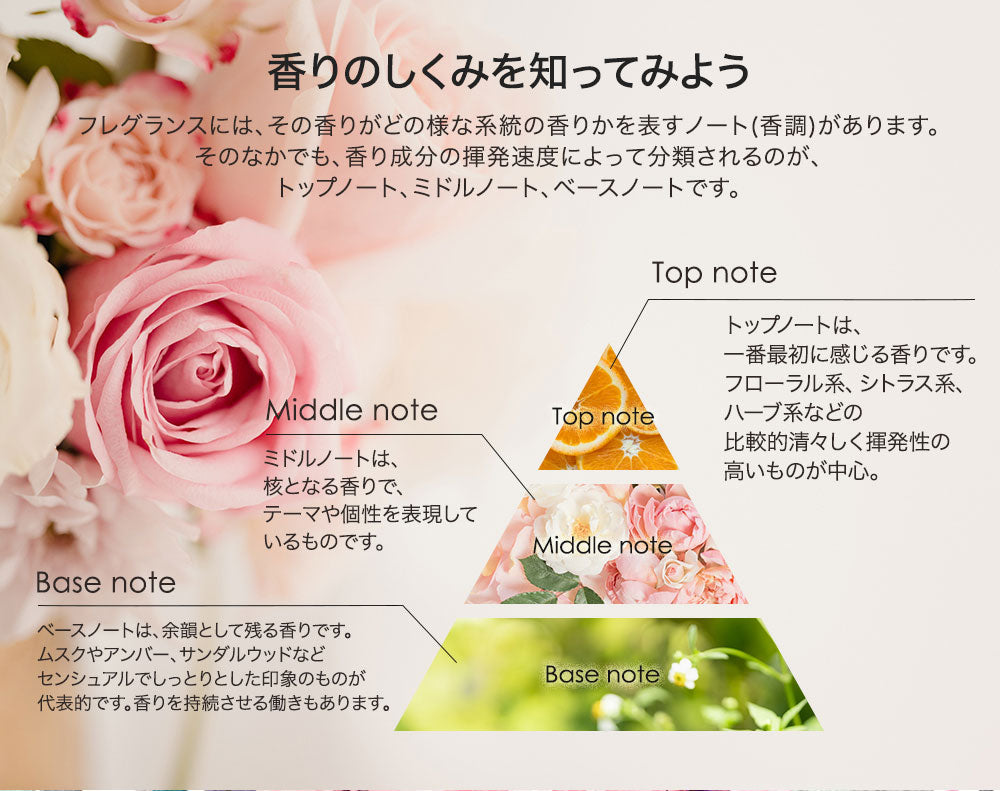 ルームフレグランス アシュレイ＆バーウッド フレグランスランプL ピーコックテイル