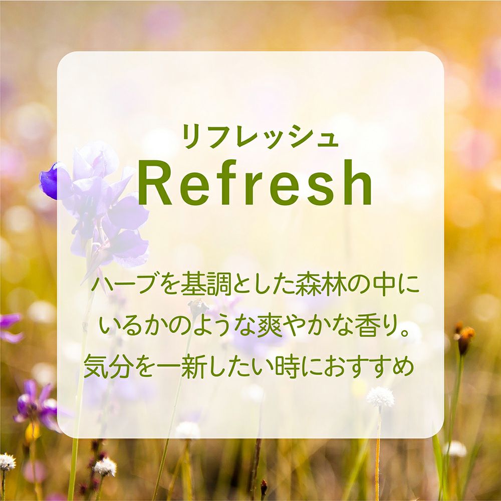 ルームフレグランス アシュレイ＆バーウッド フレグランスオイル 500ml COLD＆FLU