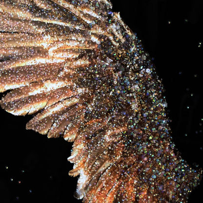 アートフレーム ピース 幸運の翼 140cm クリスタルピクチャー ウォールデコ