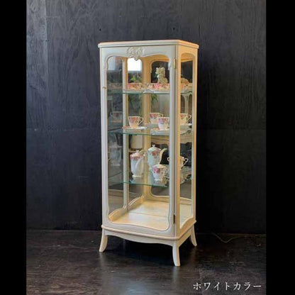 カンティーニュ キュリオケース530 コレクションケース 日本製